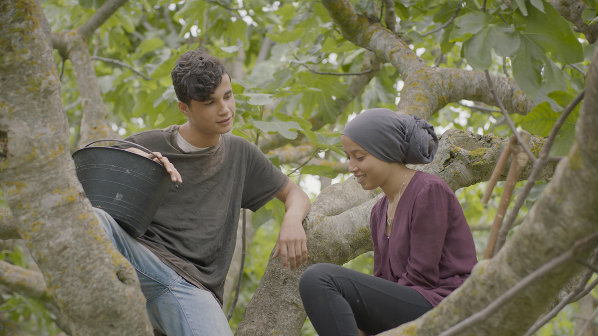 北影國新競賽片《無花果樹下》影評：北非突尼西亞最美的風景 Review of "Under the Fig Trees"