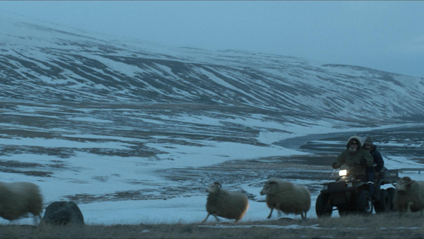 【影評】《羊男的冰島冒險》冰島人情的冰封與冰釋