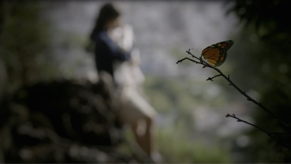 【影評】《平行時空遇見你》Mariposa/Butterfly《蝴蝶效應》+《雙面維若妮卡》+《愛情的模樣》