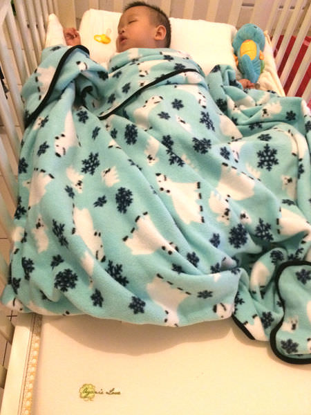 【試用】mammyshop 媽咪小站 有機棉 嬰兒護頸枕、護脊床墊